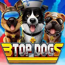 3 top dogs slot icon