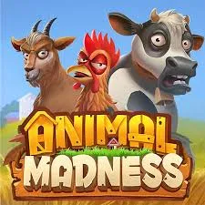 animal madness slot icon