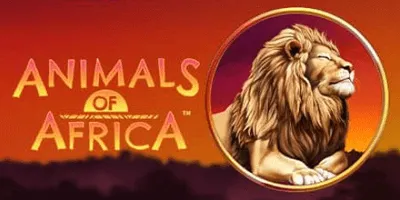 animals of africa slot