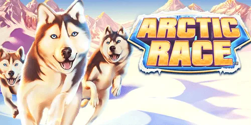 arctic race slot