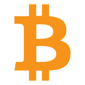 bitcoin icon