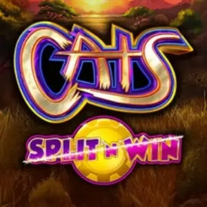 cats split n win slot icon