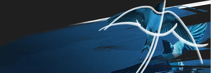 coolbet valimised tasuta panused