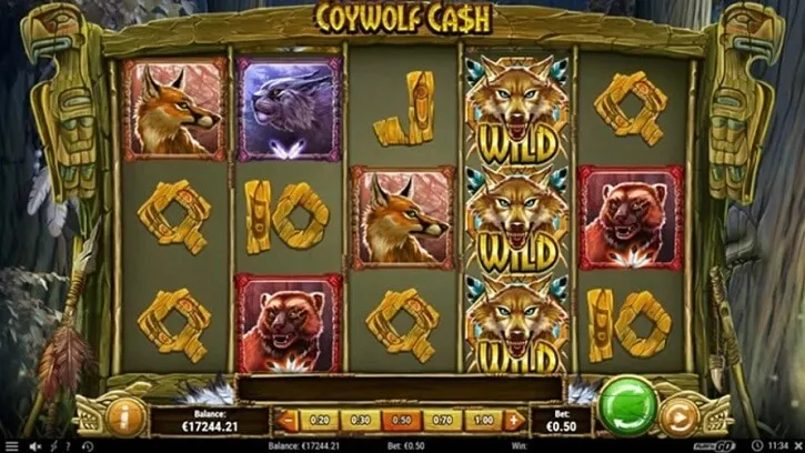coywolf cash slot screen