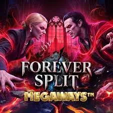 forever split slot icon