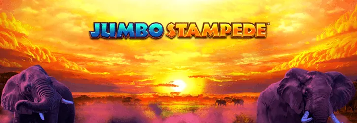 jumbo stampede slot isoftbet