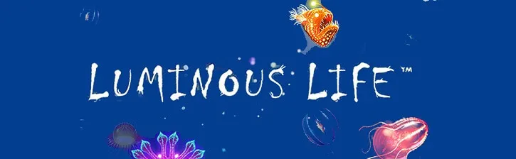 luminous life slot playtech