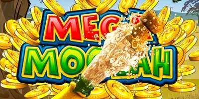mega moolah mobile big winner