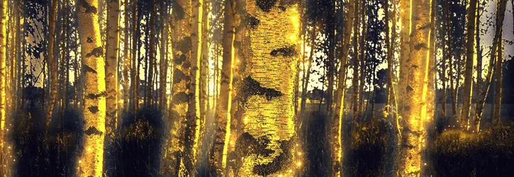 ninja kasiino jaanikuu hullus kampaania