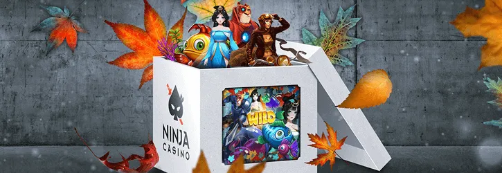 ninja kasiino novembrikuu valjakutsed kampaania