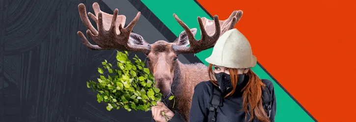 ninja kasiino ott tanak august