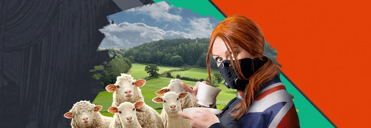 ninja kasiino valjakutse fruit shop kampaania