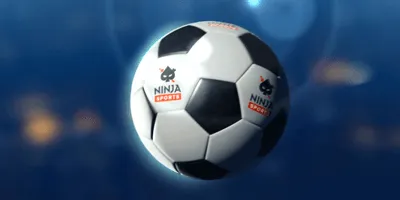 ninja sports euro2020 cashback