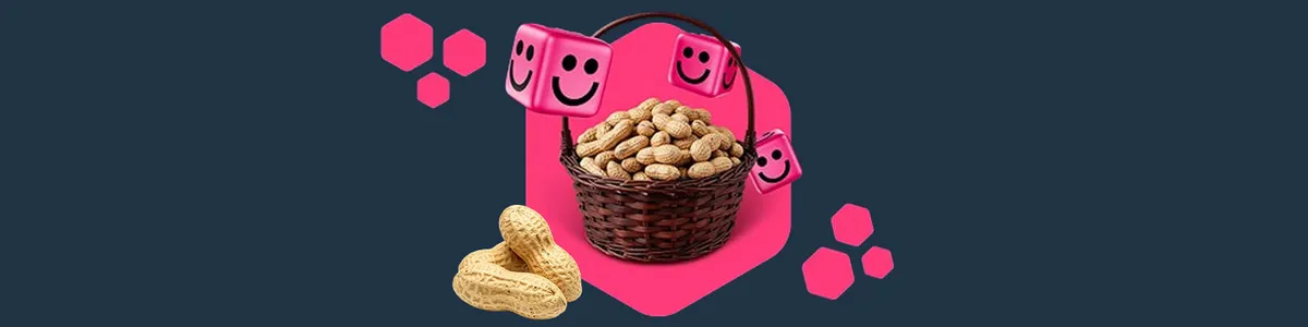 nutz casino pähkliralli