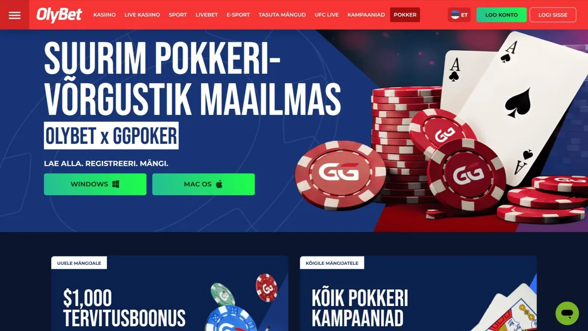olybet kasiino pokkeri võrgustik