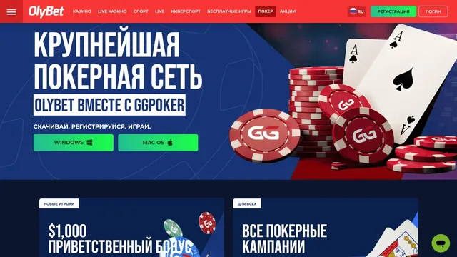 olybet казино покер