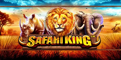 safari king slot