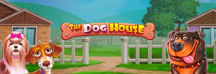 the dog house slot pragmatic play