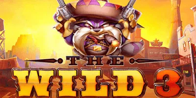 the wild 3 slot