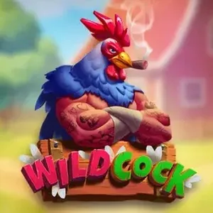 wild cock slot icon