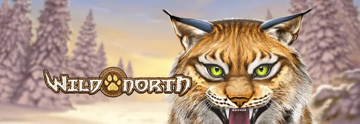 wild north slot playngo