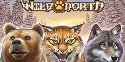 wild north slot