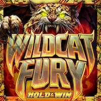 wildcat fury slot icon