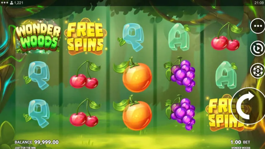 wonder woods slot screen